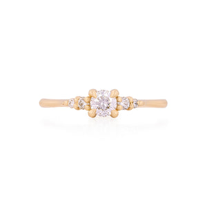 Evermore 0.25ct Diamond Engagement Ring - 14k Gold Polished Band